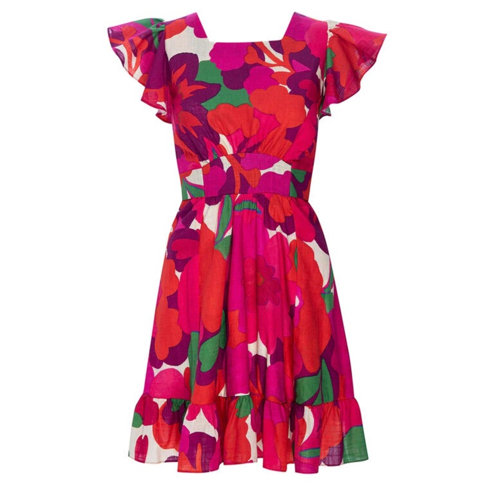 Misa Los Angeles Pink and Red Floral Mini Dress